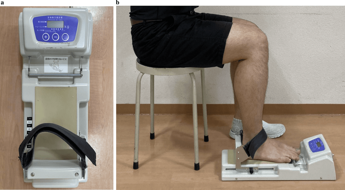The Longevity Marker No One Talks About: Toe Strength - Minnemals